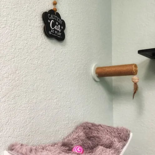 Pink cat bed attached to the wall 